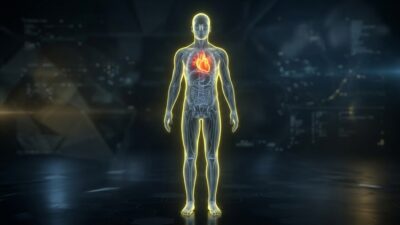 Heart Acclimatization