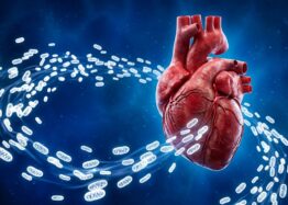 Giving Cells Fresh Mitochondria Helps Clear Damaged Ones
