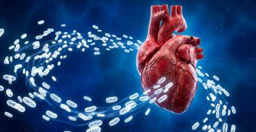 Giving Cells Fresh Mitochondria Helps Clear Damaged Ones