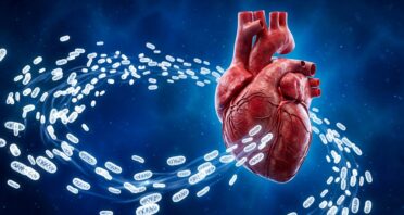 Giving Cells Fresh Mitochondria Helps Clear Damaged Ones