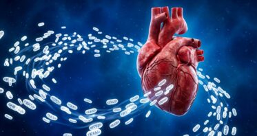 Giving Cells Fresh Mitochondria Helps Clear Damaged Ones