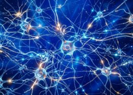 Mitochondrial Performance May Strongly Influence Learning