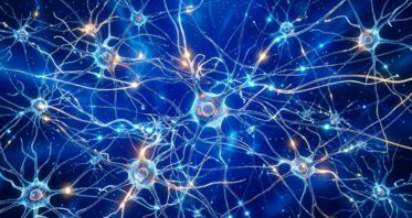 Mitochondrial Performance May Strongly Influence Learning