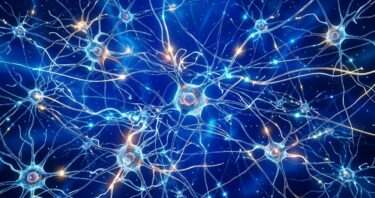 Mitochondrial Performance May Strongly Influence Learning
