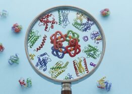 An Entirely New Target for Fighting Senescence