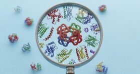 An Entirely New Target for Fighting Senescence