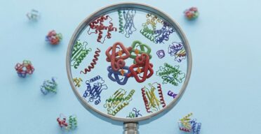 An Entirely New Target for Fighting Senescence