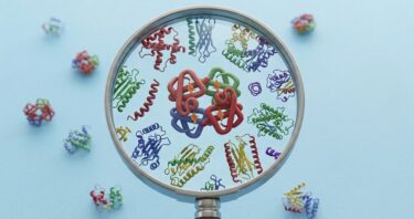 An Entirely New Target for Fighting Senescence
