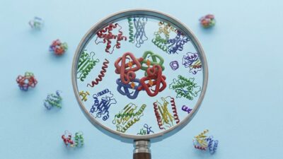 Proteins under magnifying glass