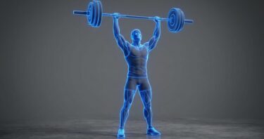 Creatine Protects Lean Mass Even Without Exercise