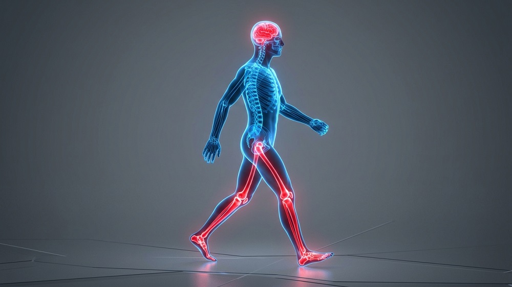 Brain and walking