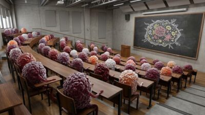 College for T Cells