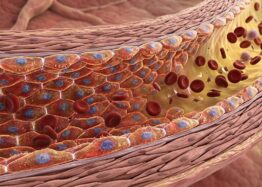 An RNA Regulator Mitigates Senescence in Blood Vessels