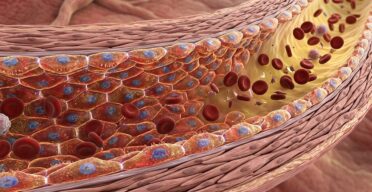 An RNA Regulator Mitigates Senescence in Blood Vessels