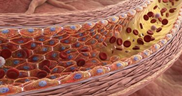 An RNA Regulator Mitigates Senescence in Blood Vessels