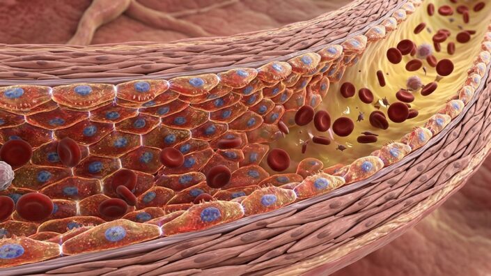 RNA Regulator MTR4 Reduces Blood Vessel Senescence