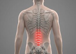 An Anti-Senescence Gene May Fight Spinal Disc Deterioration