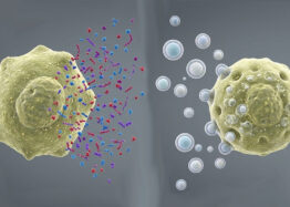 Untangling Differences in Senescent Cellular Signaling