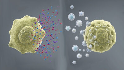 Proteins or extracellular vesicles