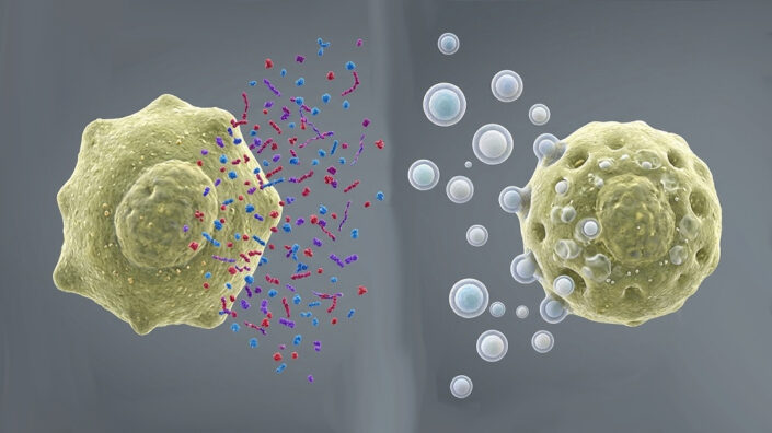Proteins or extracellular vesicles