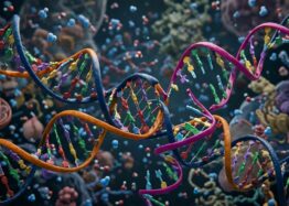 Rejuvenation Factor Extends Lifespan and Healthspan in Mice