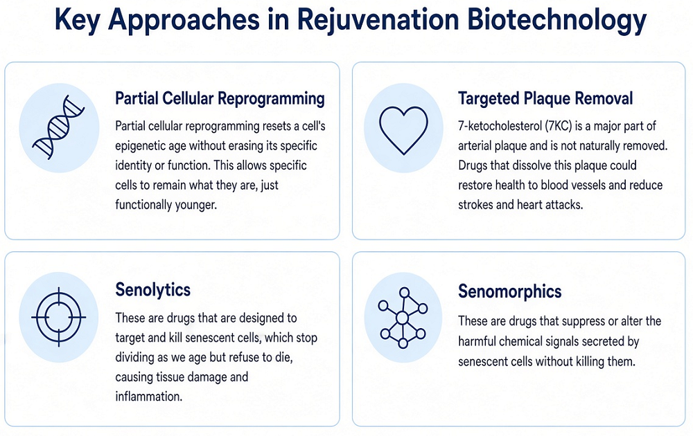 Regulatory Bottleneck 3