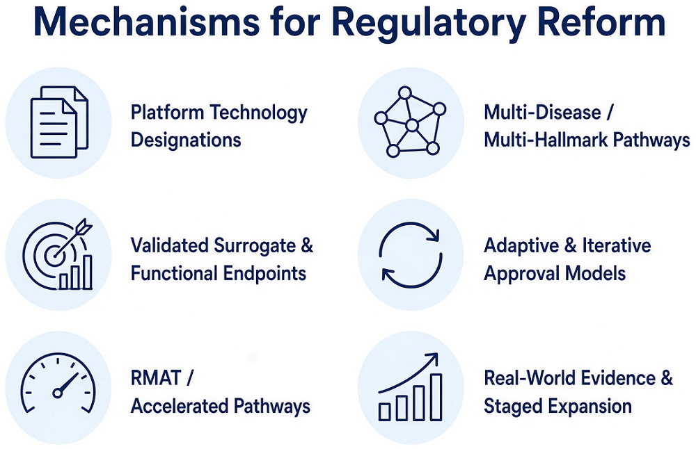 Regulatory Bottleneck 5