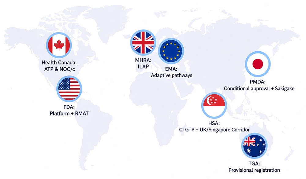 Regulatory Bottleneck 6