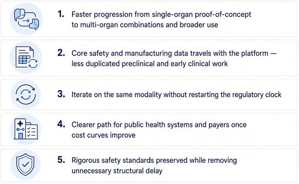 Regulatory Bottleneck 7