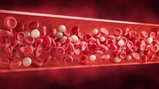 Flowing blood with white blood cells